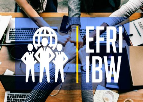 EFRI International Business Workshops 2019